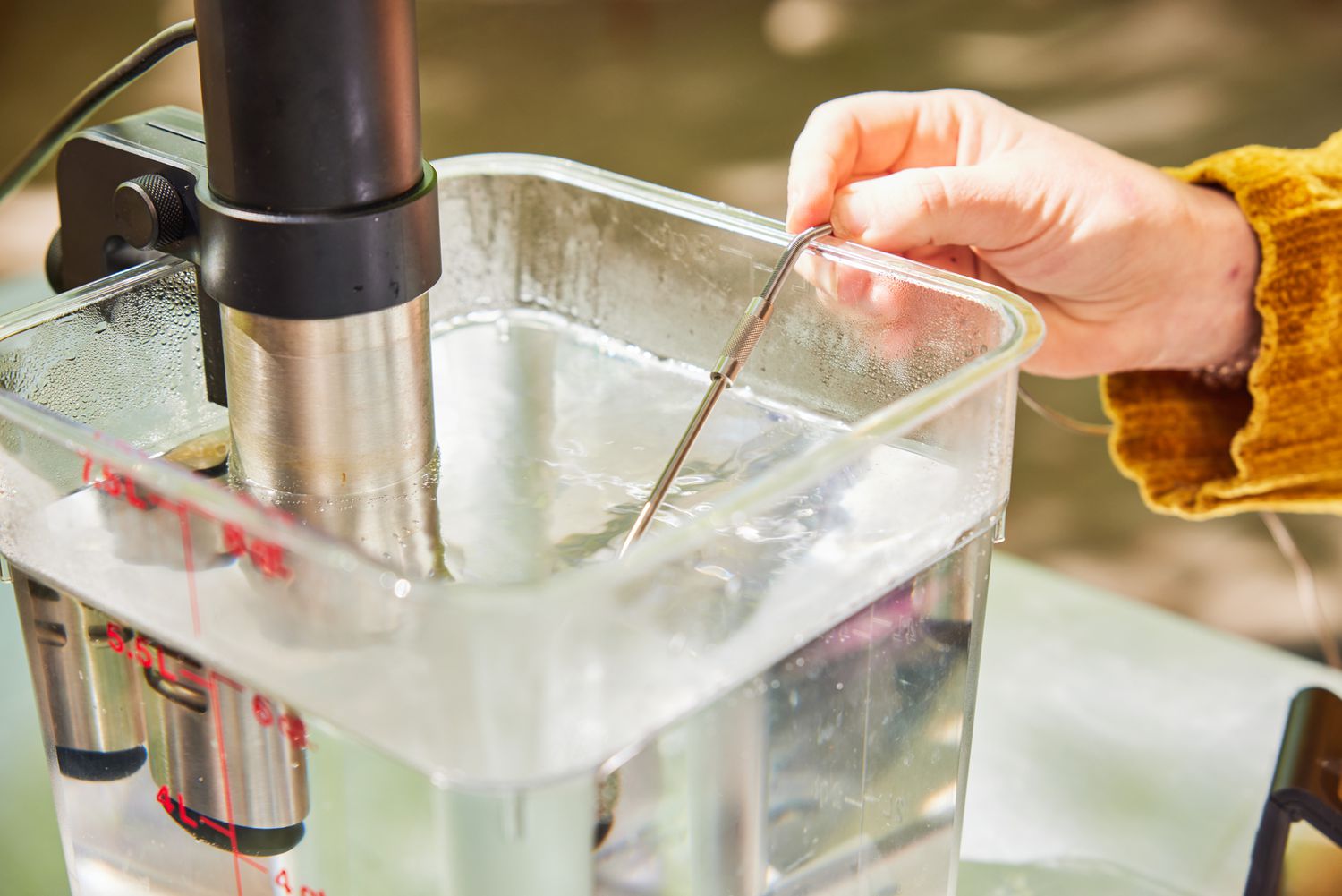 a hand placing a probe in a cambro filled with water with a sous vide machine attached