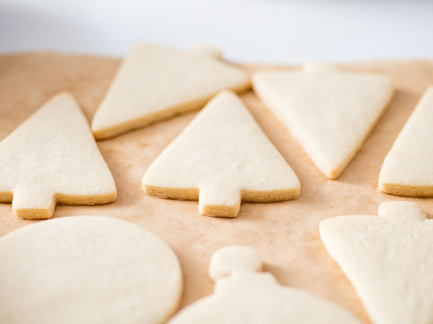 Close-up of baked sugar cookies, ready for decorating.