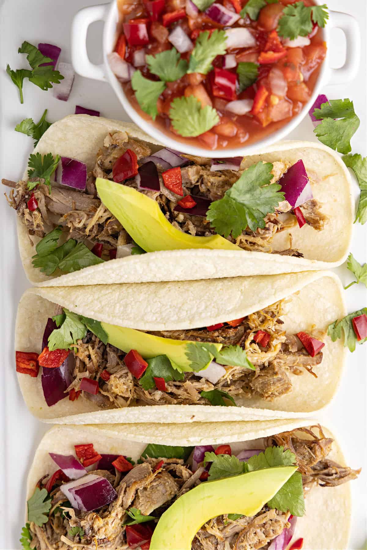 Carnitas served on tortillas with pico de gallo and avocado slices.