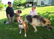 Joseph, with his wife Marcia, at their Manlius home in 2010. They were photographed with their three dogs, L-R; "LuLu", a mastif, "Trouper", a boxer, pit bull mix, and "Sasha", a German Sheppard.    Dick Blume/The Post Standard