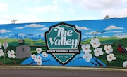 Artist Russell Mason completed "The Valley in Bloom” mural on the North facing wall of 4702 S. Salina St. (Katrina Tulloch)