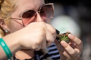 An outdoor smoking section was open for attendees at New Jersey's first major legal weed consumer conference at the NJ Convention and Expo Center in Edison, NJ on Sunday, September 18, 2022.