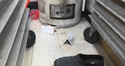 Dead mice found in traps at a recent inspection at Little Caesars on Onondaga Blvd. in Syracuse.