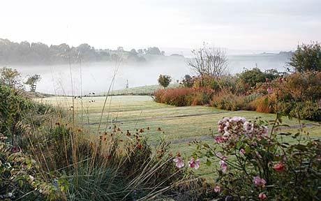 The Herefordshire garden belonging to Peter Clay, founder of crocus.co.uk, with its stepped lawn, flanked by perennials and grasses.