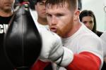 Saul Alvarez was given the nickname 'Canelo' because of his ginger hair and freckles