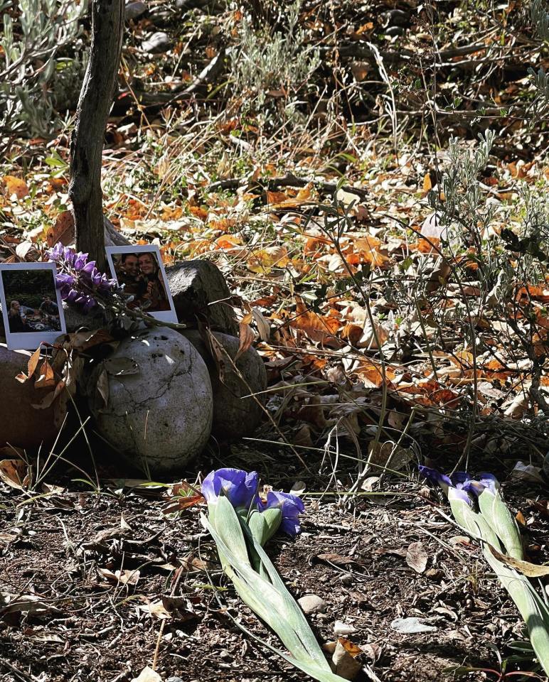 TJ Schmidt, brother of Gabby, pays tribute to her on her anniversary at the site where her remains were found