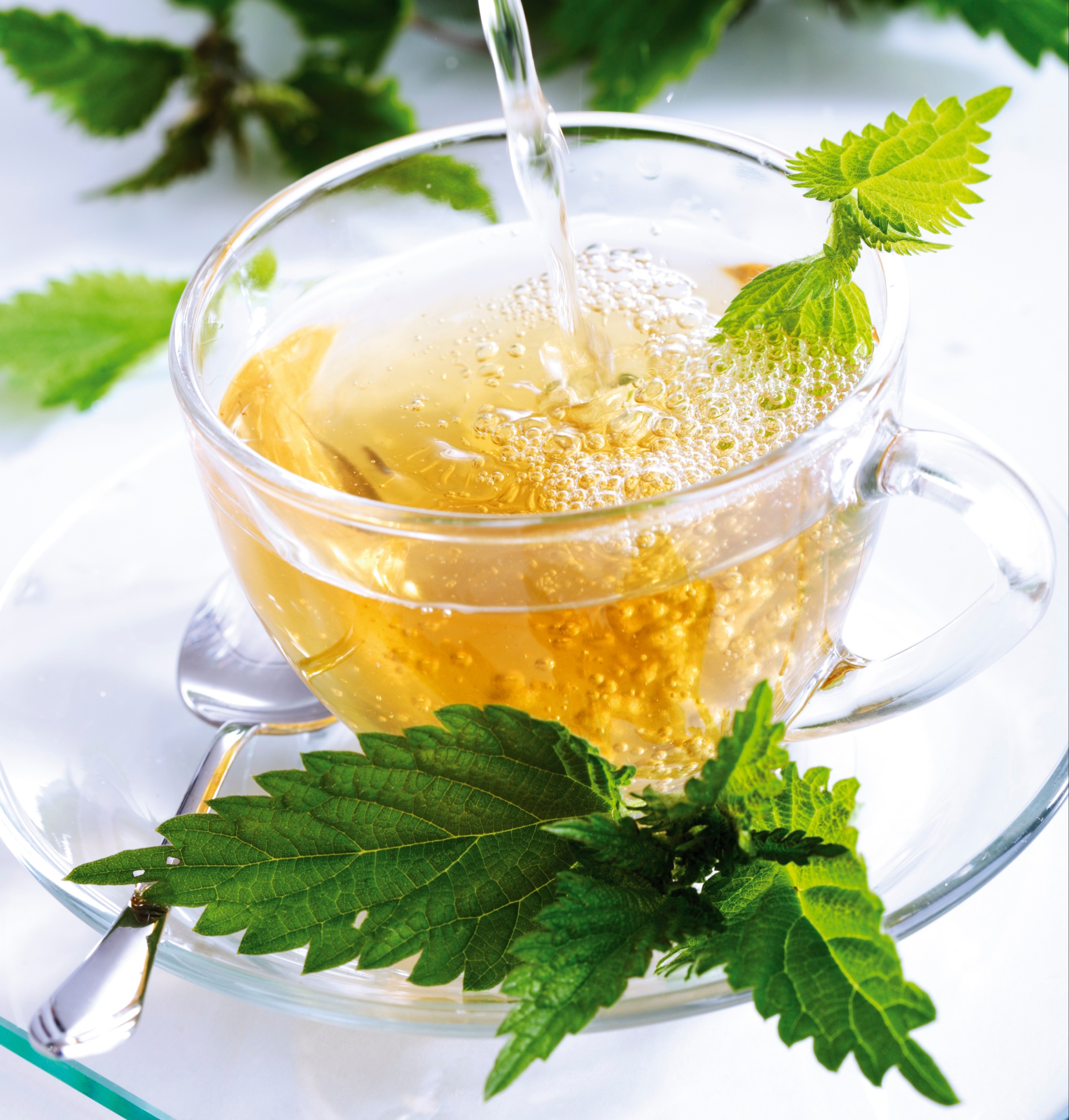 The Redditor said she leaves the nettles in cold water for at least 12 hours before making her tea (stock image)