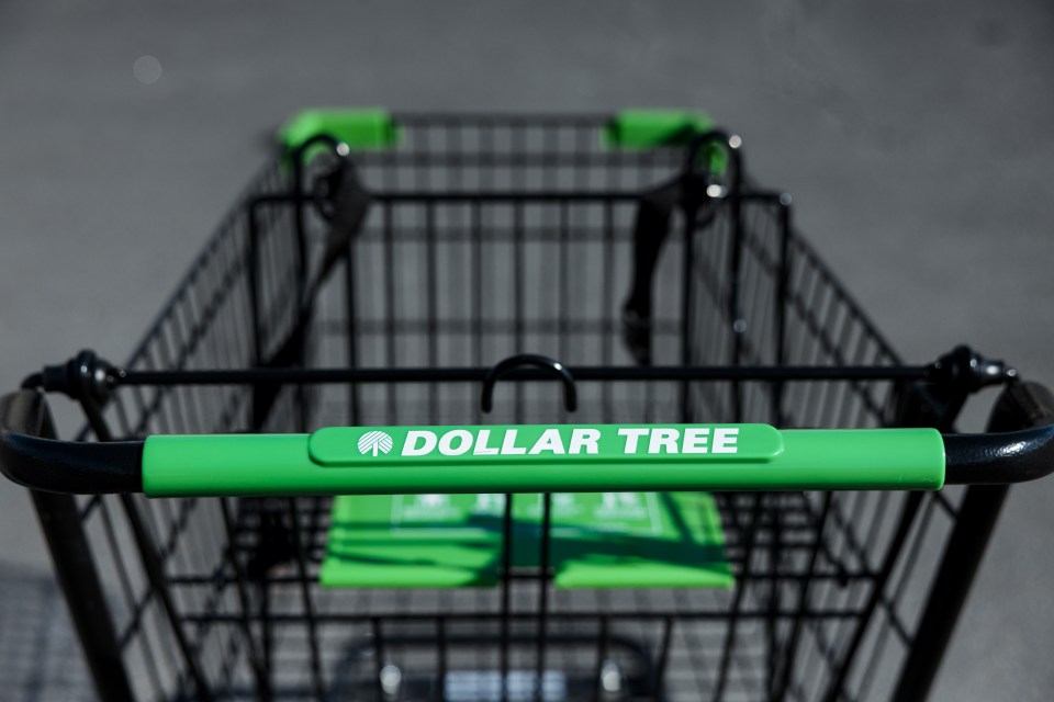 Another Dollar Tree location is reportedly having the same problem (stock image)