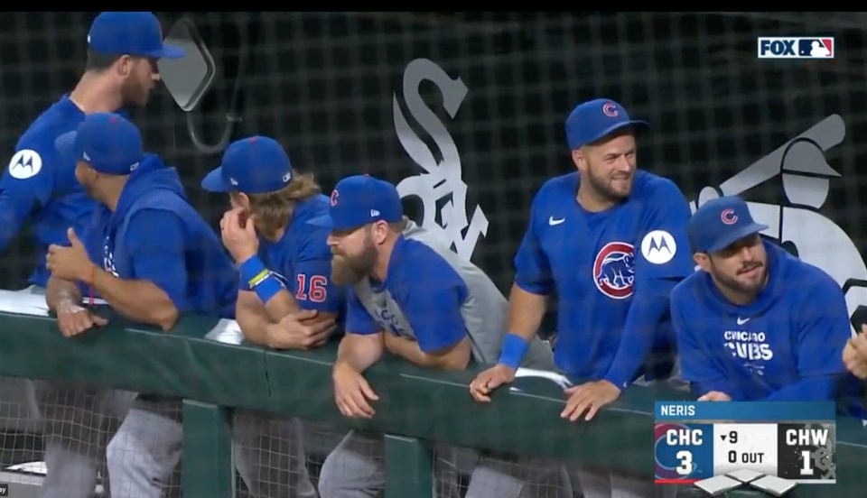 Chicago Cubs players were amused by the incident