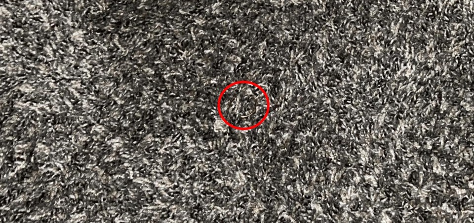 Here's a closer look at the ring, hidden in plain sight on the gray carpet