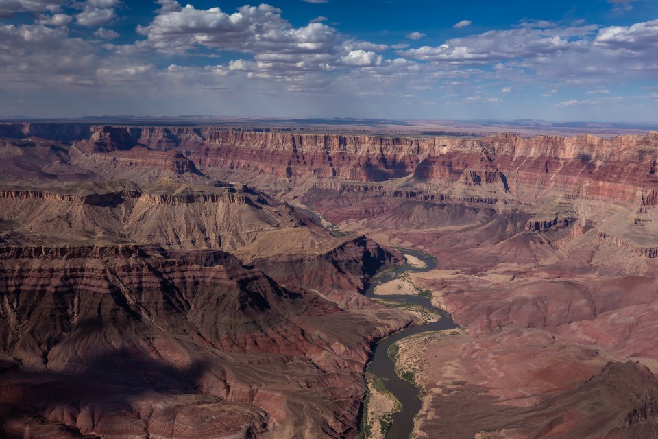 On July 31, Mejia suffered an 'accidental fall,' park officials have said