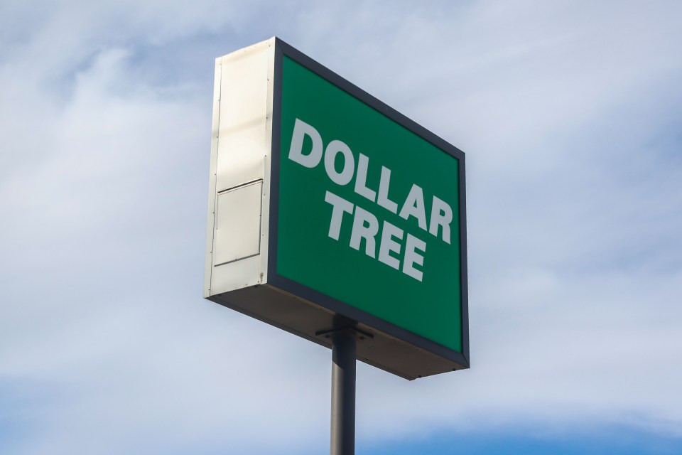 Despite raising most prices to at least $1.25, Dollar Tree continues to be an affordable place to shop for everyday essentials, including beauty, makeup, and skincare products