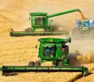 Agriculture - Two John Deere combines in tandem harvest wheat while one unloads into a grain cart. (Photo by: Rick Dalton /Design Pics Editorial/Universal Images Group via Getty Images)