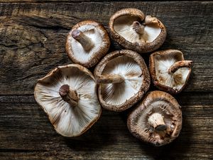 Shiitake mushrooms on a wooden table