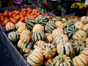 A vast stall of squashes
