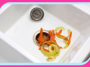 A kitchen sink with food scraps