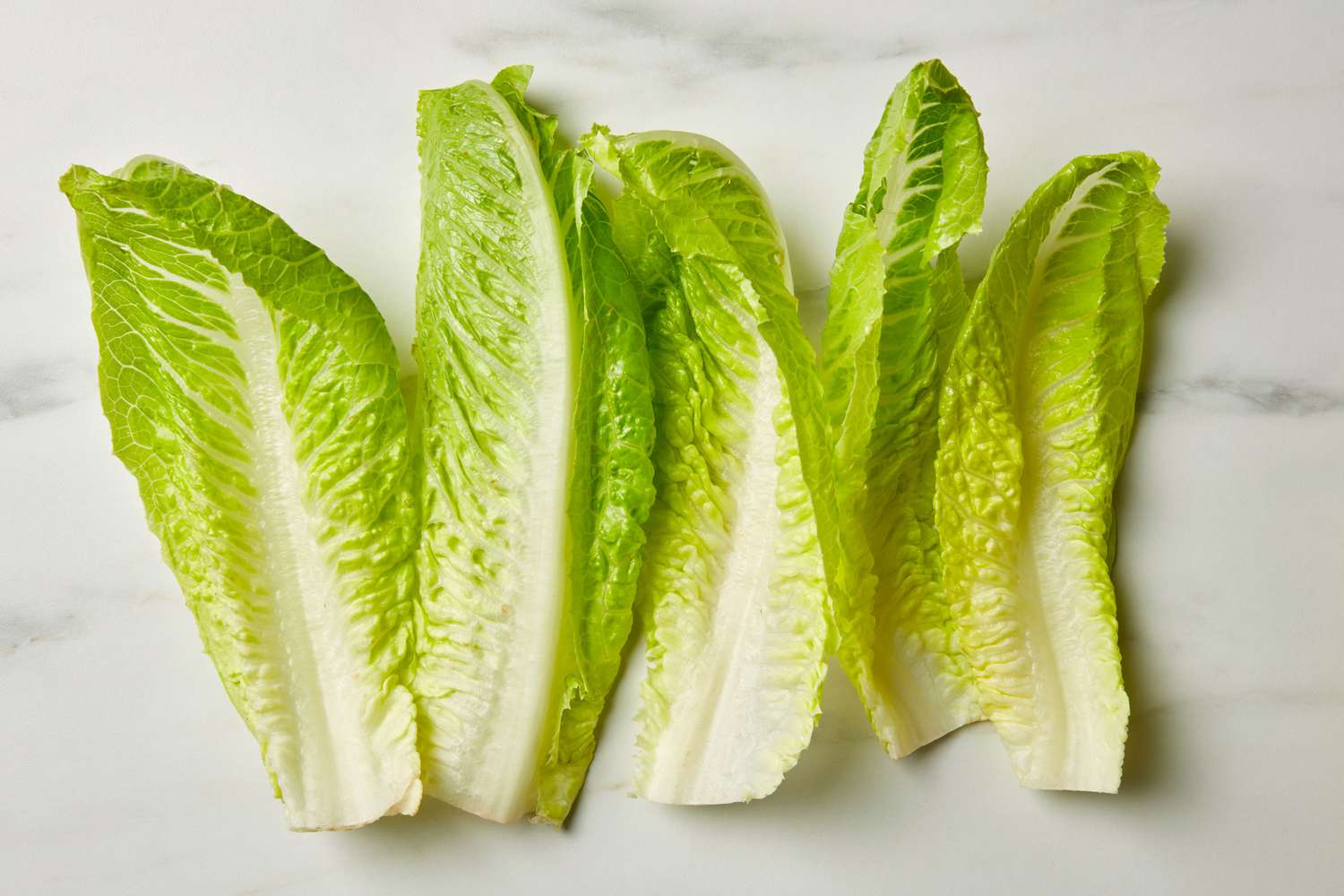 Five leaves of romaine lettuce on a marble surface