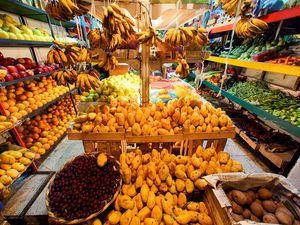 The produce department in Latino grocery store