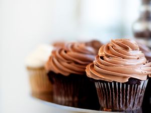 Chocolate Cupcakes