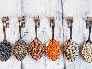 Tips on using dried beans in recipes