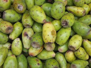 A pile of green Cactus Fruits