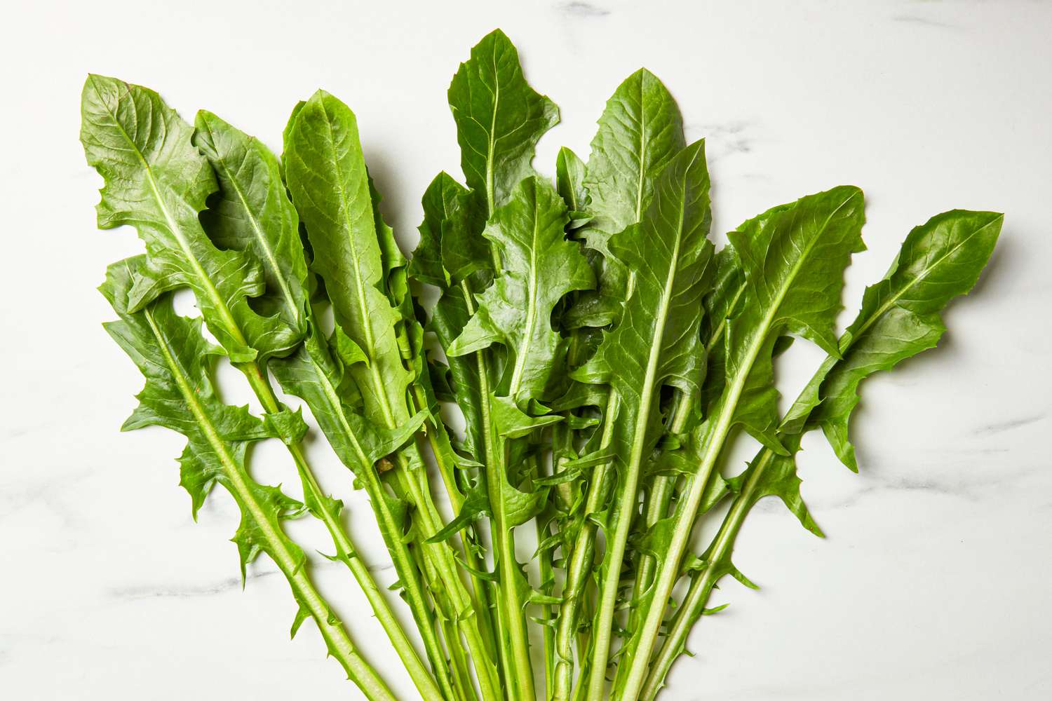 Dandelion greens on a marble surface