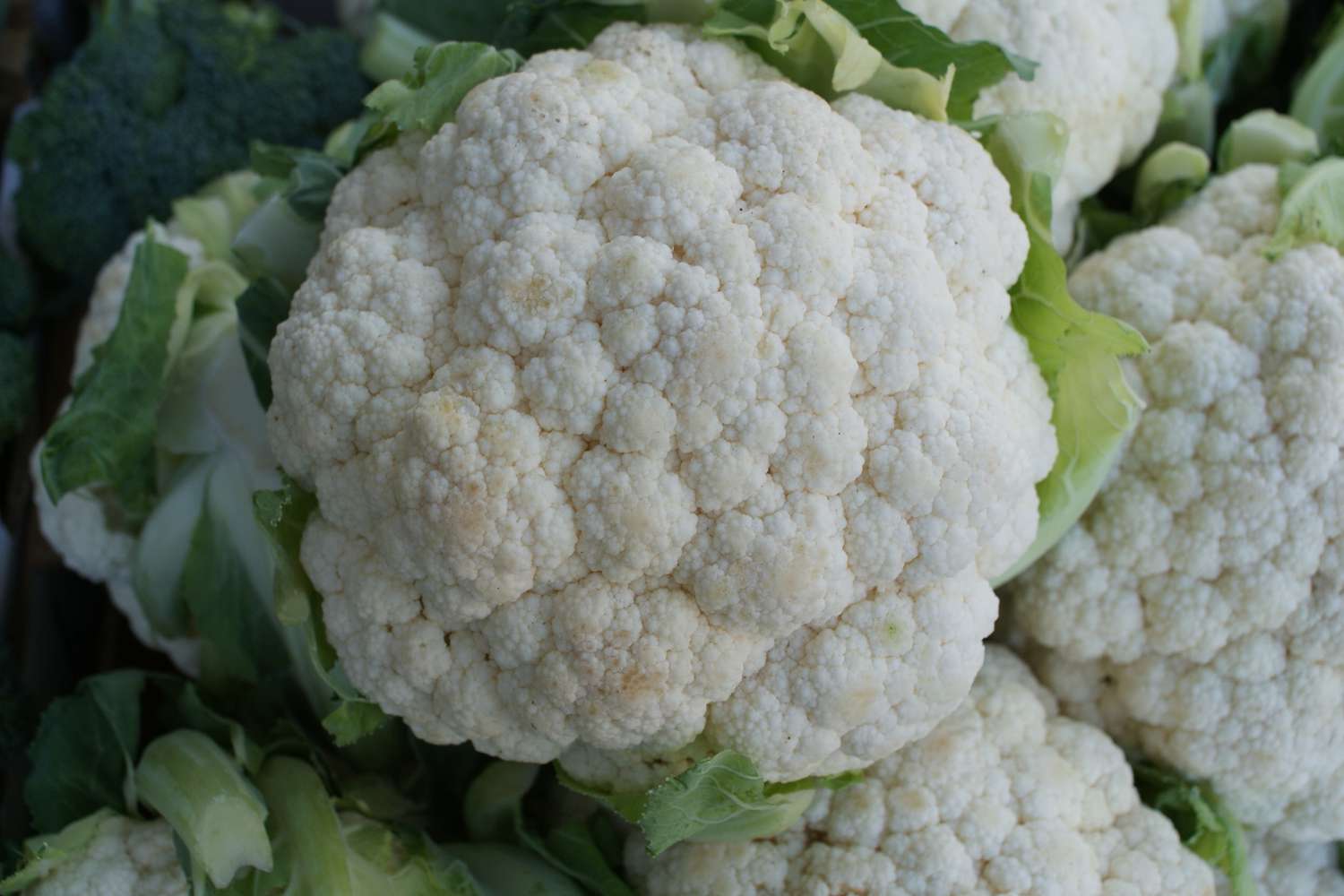 Cauliflower