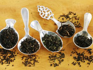 Assorted black tea leaves on tea spoons