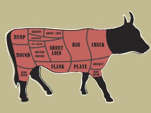 Beef cuts diagram