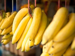 Bananas on display at a market