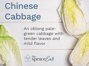 what is chinese cabbage