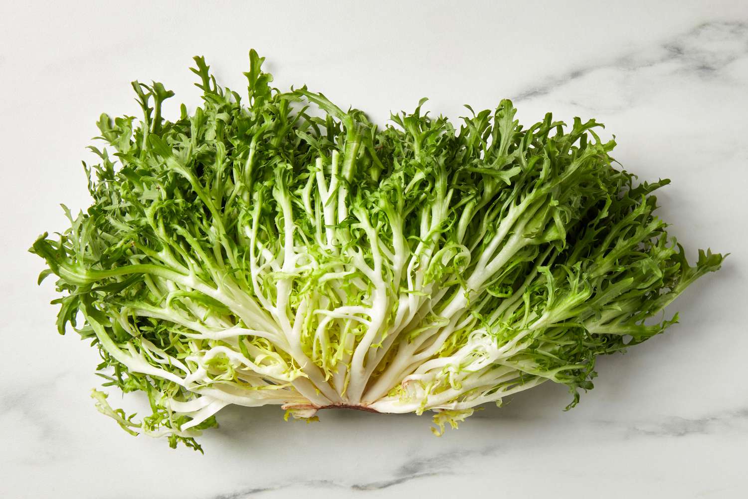A head of frisee lettuce on a marble surface