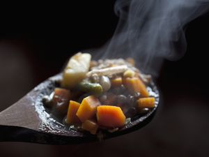 Vegetable stew on a wooden spoon