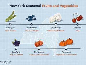 illustration showing seasonal fruits and vegetables of new york state