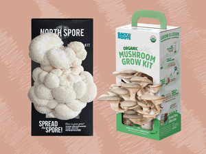 Collage of two Mushroom Growing Kits on a patterned pink background 