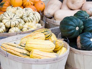 Various squash