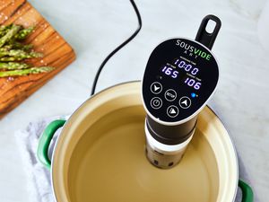 SOUSVIDE ART Precision Cooker Kit