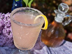 Colleen Graham's Lilac Lemon Drop Martini