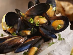 Steamed Mussels