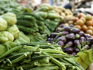 Summer Farmers Market