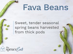 what are fava beans