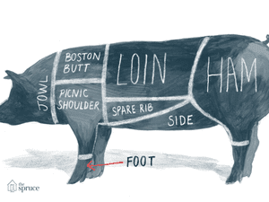 Illustrated diagram of the cuts of pork