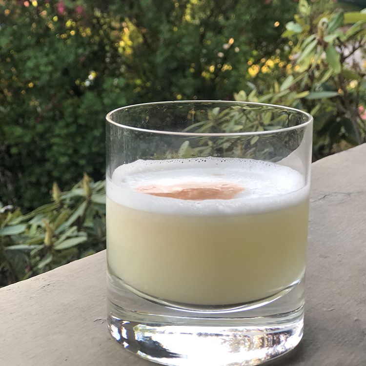 Classic Peruvian Pisco Sour Cocktail Tester Image