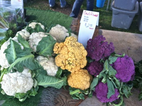 Cauliflower Varieties