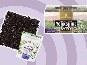 Two varieties of black tea on a purple background