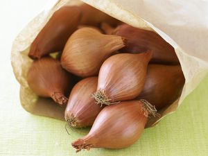 Shallots