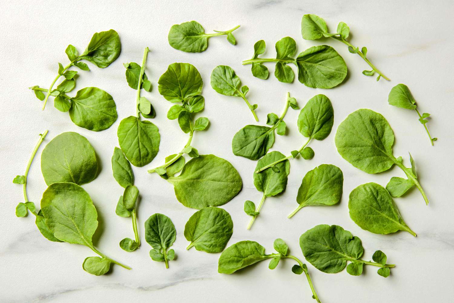 Watercress leaves scattered on a marble surface
