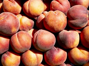 Fresh Georgia peaches