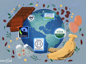 illustration of the world with foods and food labels circling it
