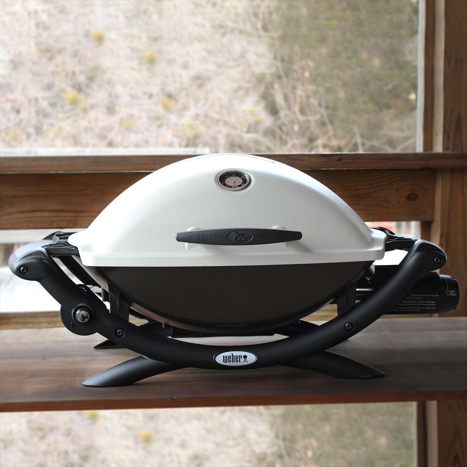 Weber Q 2200 Gas Grill on shelf indoors